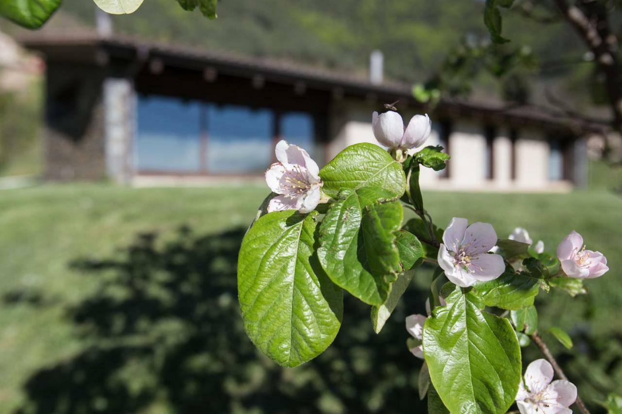Cal Sadurni Villa Bruguera Exteriör bild